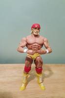 Hulk Hogan (mattel) (Wrestling) Custom Action Figure