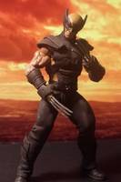 Wolverine (Marvel Universe) Custom Action Figure