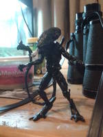 xenomorph (Aliens) Custom Action Figure