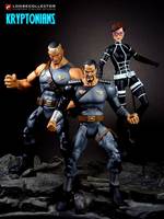 The Kryptonians (Ursa, Zod, Non) (DC Universe) Custom Action Figure