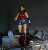 Wonder Woman (DC Universe) Custom Action Figure