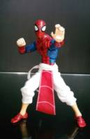 Spider-man India (Marvel Legends) Custom Action Figure