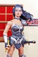 Donna Troy (Dawn of Justice Batman V Superman movie concept series) (Wonder Woman) Custom Action Figure