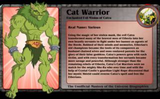 Motuc Cat Warrior (Masters of the Universe) Custom Action Figure