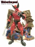 Wolverine pool (Marvel Legends) Custom Action Figure