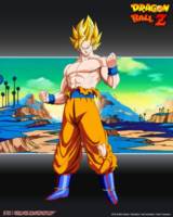 Goku (Dragon Ball Z) (Dragonball Z) Custom Action Figure