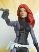 Shvaughn Erin, Science Police Liaison Officer to the Legion of Superheroes (DC Universe) Custom Action Figure
