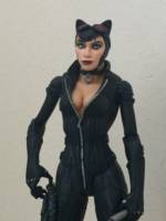 DC Direct Arkham City Catwoman Repaint (DC Direct) Custom Action Figure