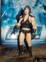 Chyna (Jakks Deluxe Style) (Wrestling) Custom Action Figure