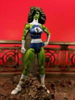 She Hulk (Fantastic Four) (Marvel Legends) Custom Action Figure