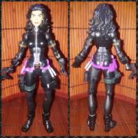 Black Widow(marvel) (DC Universe) Custom Action Figure