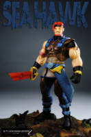 SEA HAWK swashbucler of the great rebellion (Masters of the Universe) Custom Action Figure