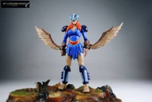 HAWK heroic sister of startos (Masters of the Universe) Custom Action Figure