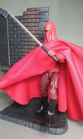 The Emperor's Royal Guard - Star Wars Black Series (Star Wars) Custom Action Figure