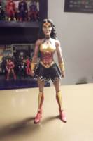 Warrior Wonder Woman (DC Universe) Custom Action Figure