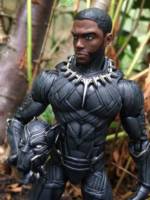 Black Panther (Marvel Legends) Custom Action Figure
