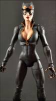 Catwoman (DC Icons) Custom Action Figure