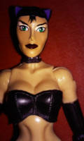 Catwoman (repaint) (Marvel) Custom Action Figure