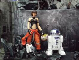female pilot X-wing Star Wars (Star Wars) Custom Action Figure
