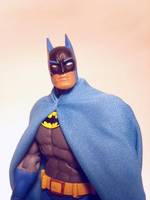 Batman Neal Adams World's Finest (DC Universe) Custom Action Figure
