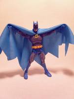 Batman Neal Adams World's Finest (DC Universe) Custom Action Figure