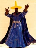 Black Mage from 8-Bit Theater (Final Fantasy) Custom Action Figure