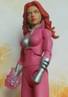 Plastique (DC Universe) Custom Action Figure