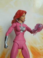 Plastique (DC Universe) Custom Action Figure