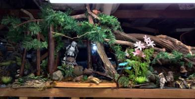 Ewoks (Star Wars) Custom Action Figure