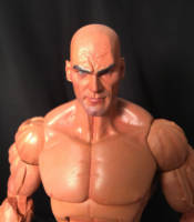 Barbarian Gladiator of Aquilonia (Conan) Custom Action Figure
