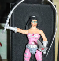 Scratchin' Catra (Masters of the Universe) Custom Action Figure