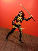 Typhoid Mary (Marvel Legends) Custom Action Figure