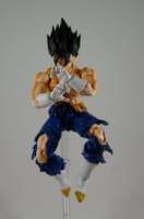 Battle Damaged Vegetto (S.H. Figuarts) Custom Action Figure