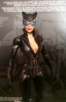 Catwoman (Batman - Arkham Origins) Custom Action Figure