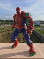 Spider-Hulk (Marvel Legends) Custom Action Figure