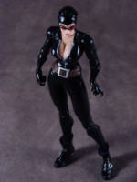 Catwoman (DC Universe) Custom Action Figure