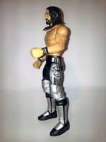 Seth Rollins (Wrestling) Custom Action Figure