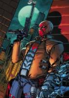 RED HOOD Jason Todd (DC Direct) Custom Action Figure