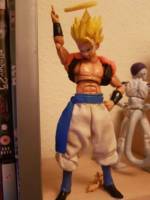 Gogeta and Freeza (Dragonball Z) Custom Action Figure