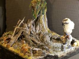 Predator: He Couldn't See Me (Predator) Custom Diorama / Playset