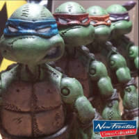 Teenage Mutant Ninja Turtles (Mirage Studios) (Teenage Mutant Ninja Turtles) Custom Action Figure