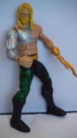 Aquaman (Wrestling) Custom Action Figure