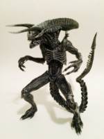 The Reaper. Demon of Darkness. (Aliens) Custom Action Figure [The Reaper]