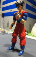 Future Gohan (S.H. Figuarts) Custom Action Figure [Future Gohan Side]