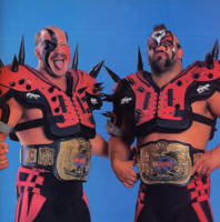 Road Warrior Animal (Wrestling) Custom Action Figure