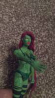 Poison Ivy (Total Justice) Custom Action Figure
