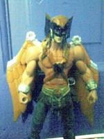 Hawkman (DC Universe) Custom Action Figure