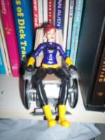 Barbara Gordon (Oracle) (DC Universe) Custom Action Figure