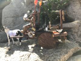 Slate Brightsmith from the Blue Mountains (Dungeons and Dragons) Custom Action Figure