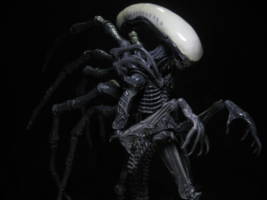 Carrier Alien (AVP Extinction) (Alien vs Predator) Custom Action Figure